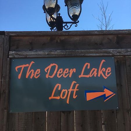 The Deer Lake Loft المظهر الخارجي الصورة